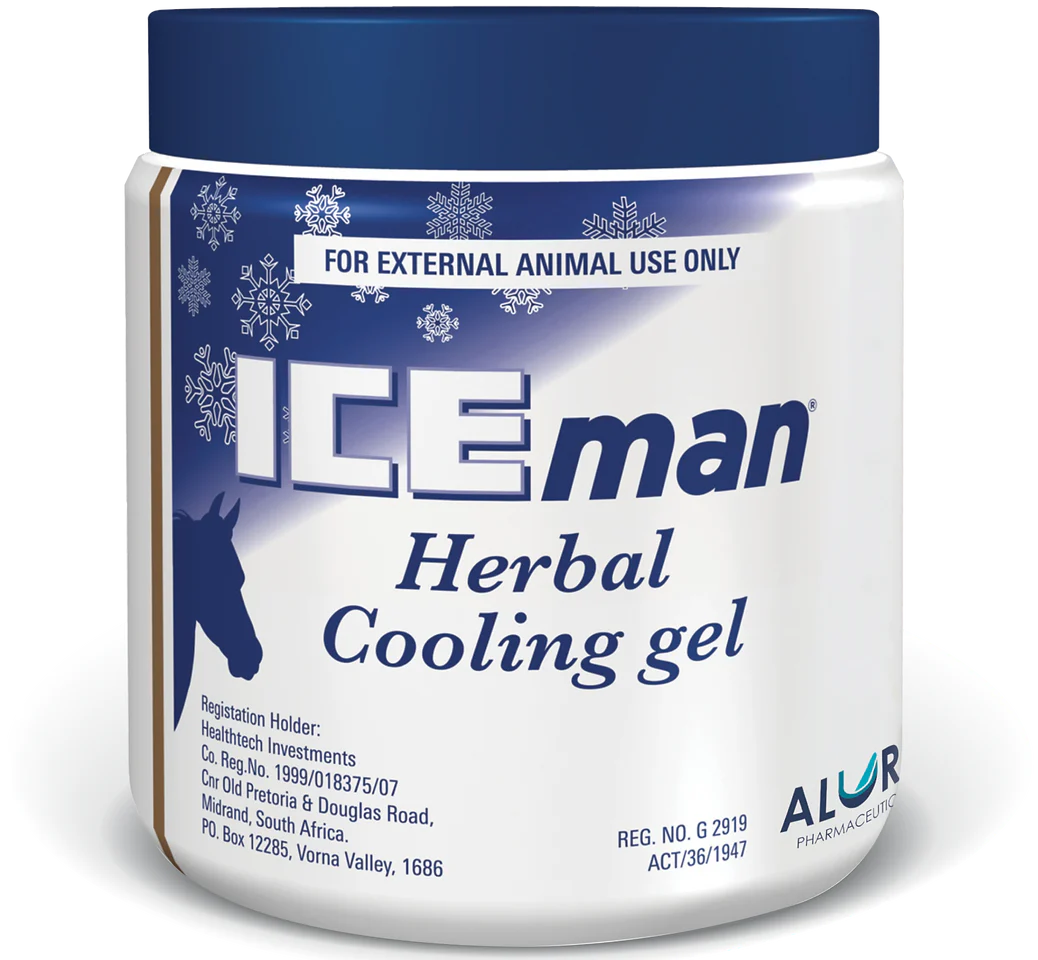 Iceman